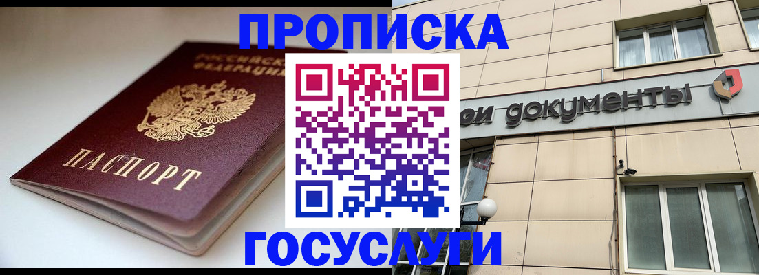 временная регистрация госуслуги в Палласовке